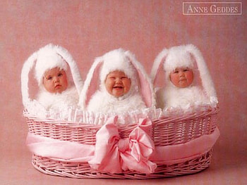Funny bunnies :), bunnies, baby, funny, child, little HD wallpaper