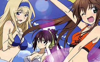 Infinite Stratos , Wallpoper HD wallpaper