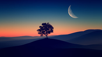 Tree Alone Dark Evening , nature, deviantart, evening HD wallpaper
