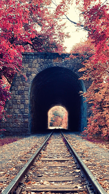 Autumn Train Tunnel Red Tree Leaves 6 Plus HD phone wallpaper