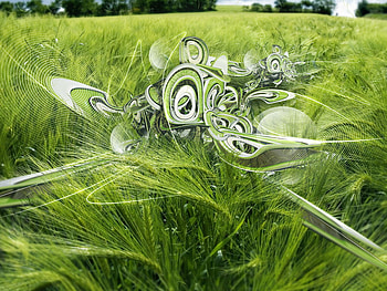 Wheat_field, abstract, green, nature, grass, cloud, tree HD wallpaper