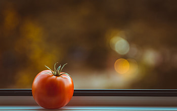 Quiet tomato, Minimalist , MacBook Pro, Serene background HD wallpaper