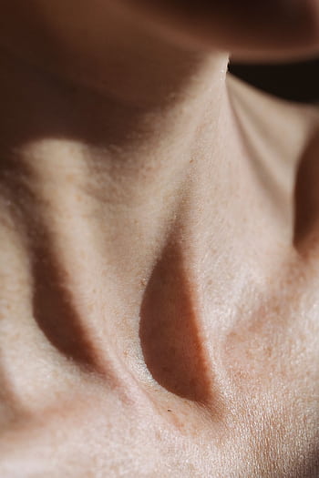 Detailed close-up of a human neck highlighting texture and soft shadows under natural light. HD phone wallpaper
