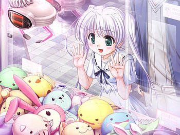 Tougi Shiro, games, piggy, anime, stuff, girl, plushies HD wallpaper