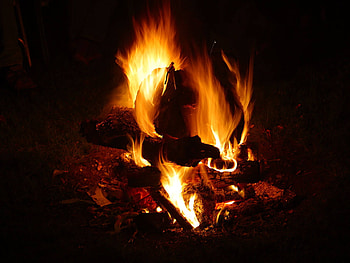 The Element Fire, mystery, wood, fire, element HD wallpaper
