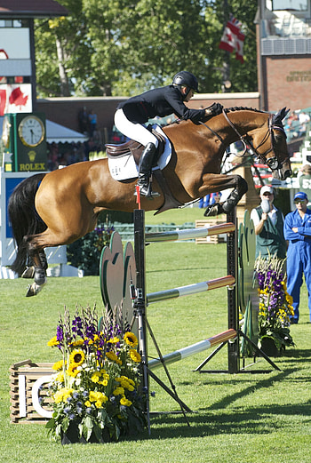 Scott Brash, Eventing HD phone wallpaper