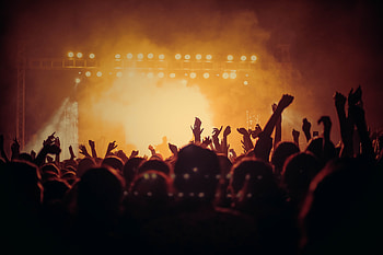 Concert, hands up, joy, dark, party HD wallpaper