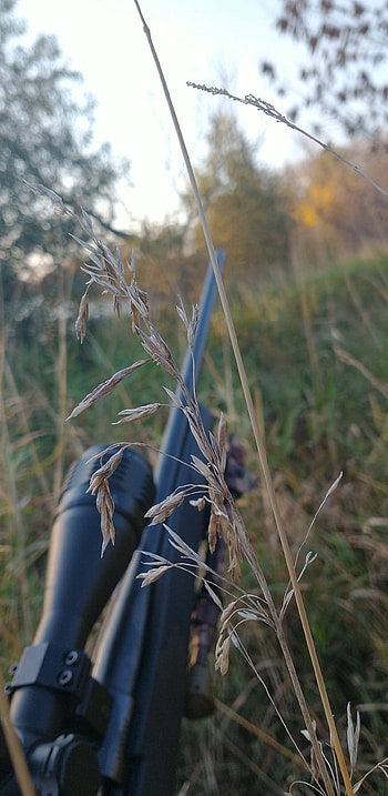 Gun, agriculture, sky, outdoors HD phone wallpaper