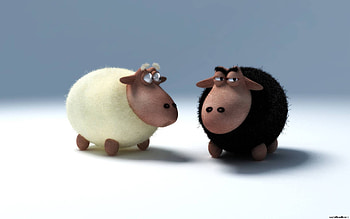 Funny, Animals, Rams HD wallpaper