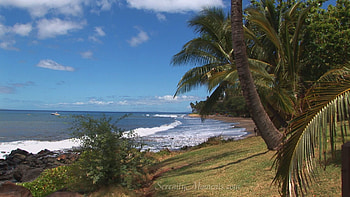 screensavers, , tropical, screensaver, beach, mauai HD wallpaper