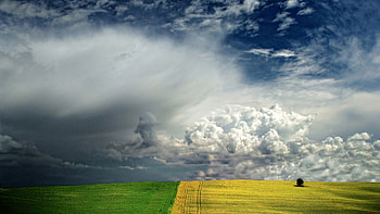 Landscape, Fields, Clouds HD wallpaper