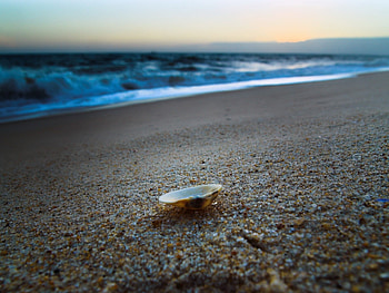 Nature, Sea, Beach, Sand, Shore, Bank, Evening, Shell HD wallpaper