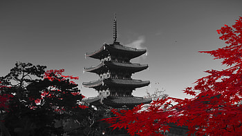 Ghost Of Tsushima - Omi Monastery HD wallpaper