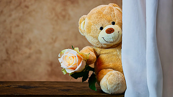 Cute Teddy Bear with Rose HD wallpaper