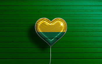 I Love The Hague, , realistic balloons, green wooden background, Day of The Hague, dutch cities, flag of The Hague, Netherlands, balloon with flag, The Hague flag, The Hague HD wallpaper