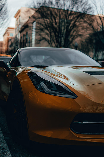 Sports, Cars, Car, Front View, Machine, Sports Car HD phone wallpaper