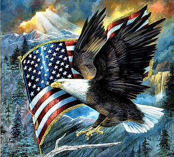American Pride - Eagle, animal, bird, eagle, art, beautiful, raptor, flag, illustration, avian, artwork, wide screen, wildlife, painting, nature, bald eagle HD wallpaper