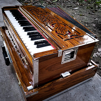Harmonium , , Musical aesthetics, Harmonic visuals HD phone wallpaper