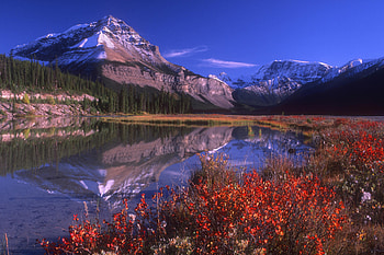 Majestic Reflection, trees, reflection, lake, mountain HD wallpaper