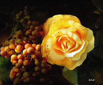 rose and grapes, rose, still life, yellow, grapes, texture HD wallpaper