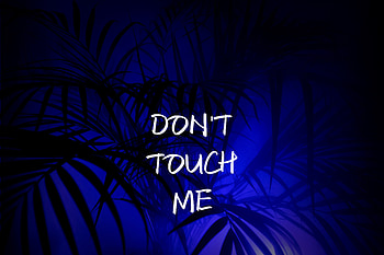 Words, Inscription, Text, Touching, Touch, Objection HD wallpaper