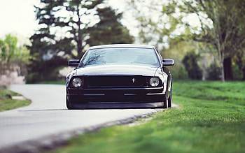 Ford Mustand Low Rider, ford, mustang, cars, silver HD wallpaper