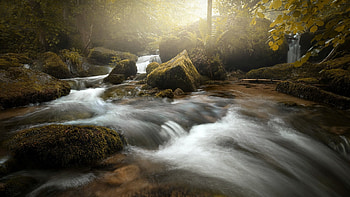 River, nature, water, tree HD wallpaper