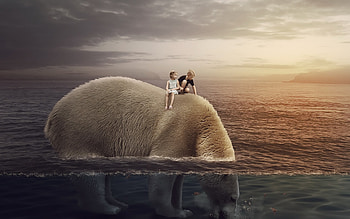 big polar bear, polarbear, bears, northpol, bear HD wallpaper