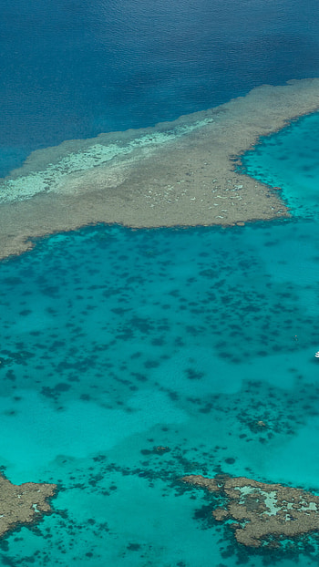 Floatplane on Great Barrier Reef, Airlie Beach beauty, Windows 10 spotlight , Spectacular aerial view HD phone wallpaper