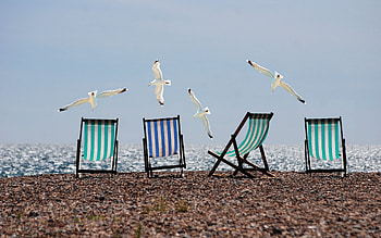 Summer, beach, seagulls, deckchairs HD wallpaper
