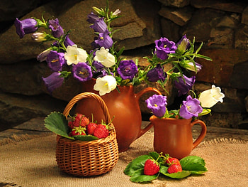 Plants, Flowers, Objects HD wallpaper