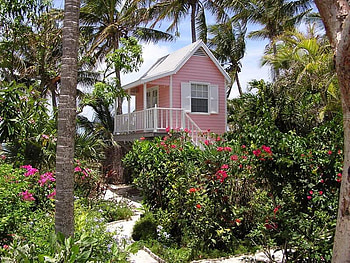 Sandy Cove Gardens, Bahamas, sky, nature, forest, beach HD wallpaper