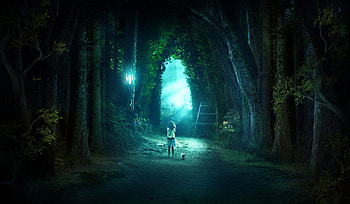 Evening Walk With Cat, deviantart, cat, artist, artwork, digital-art HD wallpaper