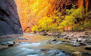 Sunlit Canyon River Path in Autumn, Canyons, Trees, Rivers, Nature, Autumn, Sunshine HD wallpaper