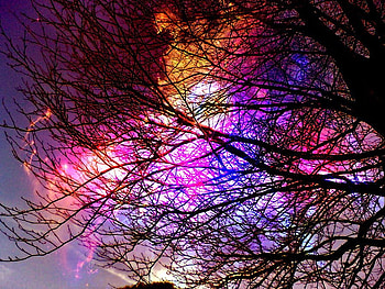 Cloroful Evening, clouds, purple, pink, tree HD wallpaper