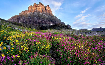 Wildflower Season, California, blossoms, clouds, landscape, sky, rocks, spring, usa HD wallpaper