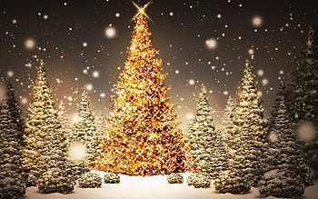 HAPPY HOLIDAYS TO ALL ON DN, beautiful, glowing, christmas, tree HD wallpaper