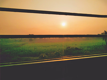 Morning, nature, window, sun, train HD wallpaper
