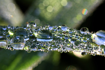 Drops, Macro, Shine, Brilliance, Sheet, Leaf HD wallpaper