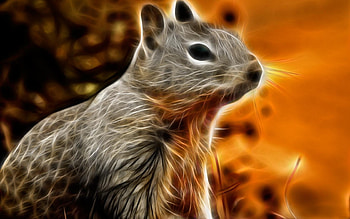 Animals, Squirrel HD wallpaper