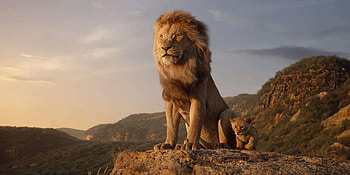 lion and cub, cub, setting, lion, male, rocks HD wallpaper