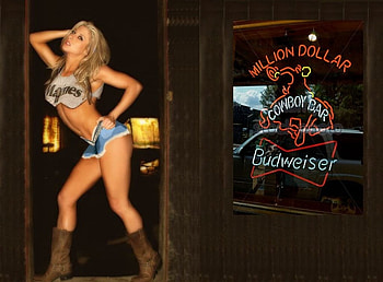 Cowboy Bar Girl.., style, barns, cowgirl, saddles, fun, fashion, blondes, girls, women, bar, models, boots, western, female HD wallpaper