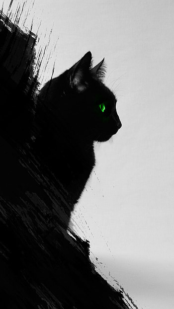 Black Cat - Black Cat -, Aesthetic Black Cat HD phone wallpaper