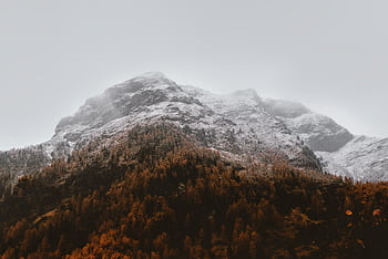 Breathtaking view of a snow-capped mountain with autumn trees below and a misty sky. HD wallpaper