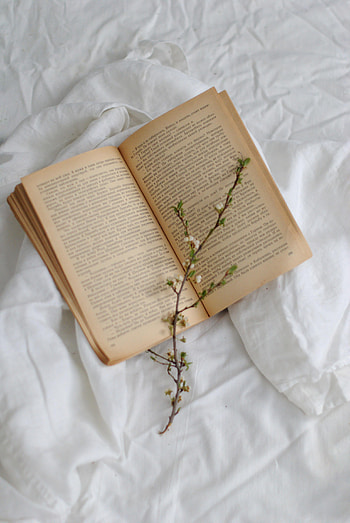 Miscellanea, Miscellaneous, Branch, Book HD phone wallpaper