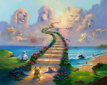 All Pets go to Heaven, jesus, pets, strairs, heaven HD wallpaper
