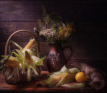 Still Life Corn, corn, graphy, food, still Life HD wallpaper