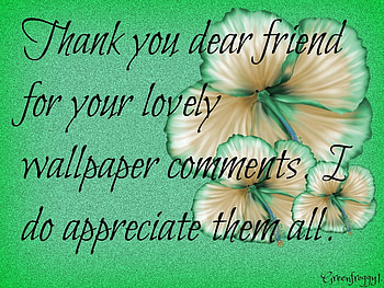 COMMENTS, YOU, THANK, COMMENT HD wallpaper