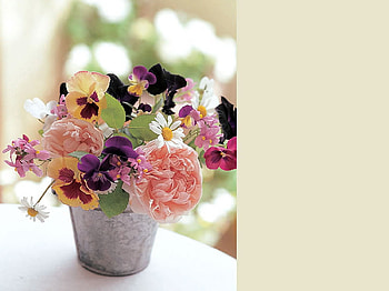 bouqet , bouquet, flowers, art HD wallpaper