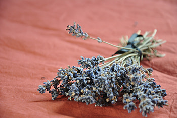 Flowers, Bouquet, Lavender HD wallpaper